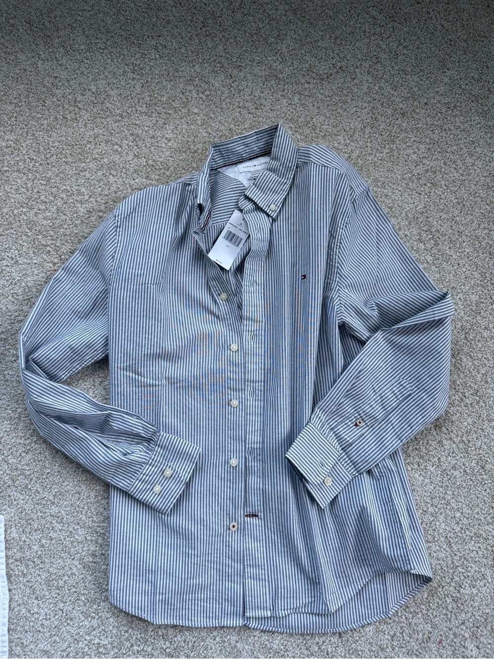 Tommy Hilfiger Blue and White Striped Men's Button-Down Shirt